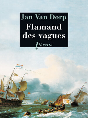 cover image of Flamand des vagues